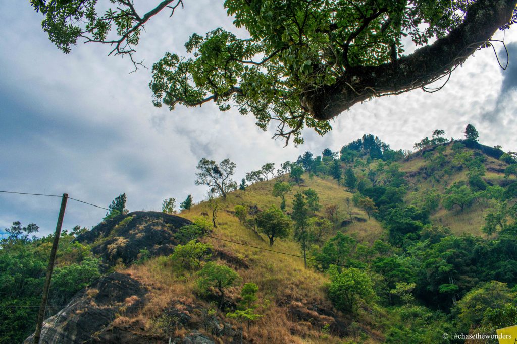 Road to Bambarakanda Falls 1