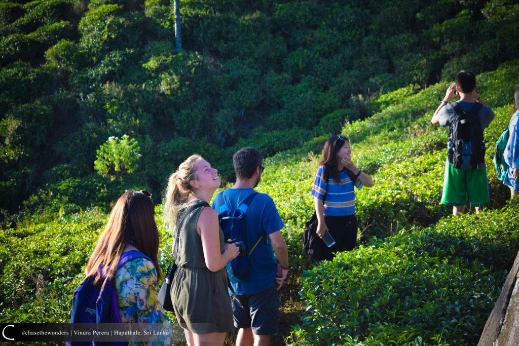 Towards Summit Through Tea Leaves