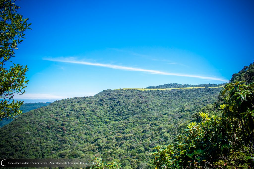 A view of "Piduruthalagala Potato Farm" from the first peak :)