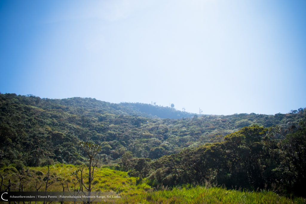 View of Piduruthalagala Transmission Tower from the "Lunukola Pathana"