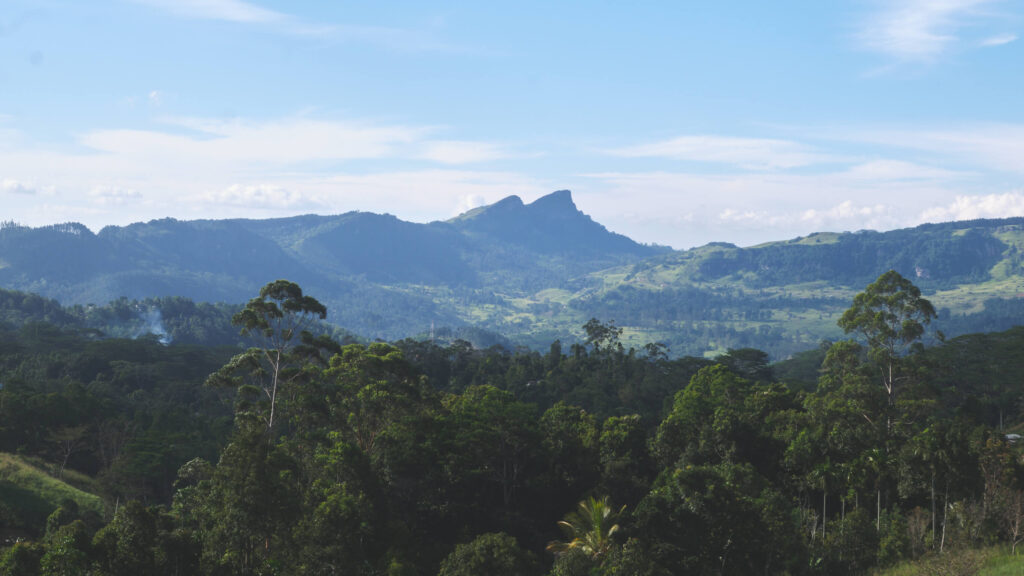 Discover a detailed Pekoe Trail itinerary tailored for hikers covering 30-35 km a day through Sri Lanka's breathtaking tea country. Get practical insights on distances, altitude gains, and accommodation tips to customize your adventure based on your pace and ability